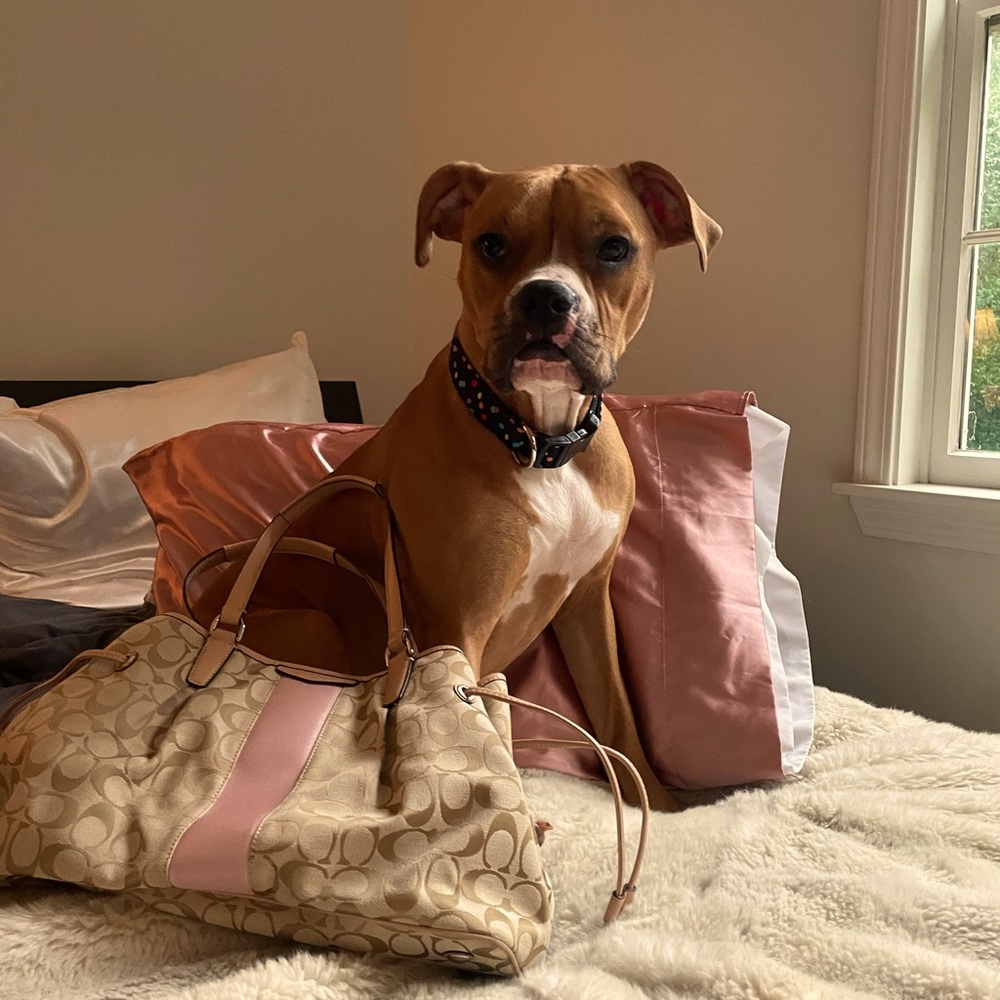 Authentic coach canvas shoulder bag.